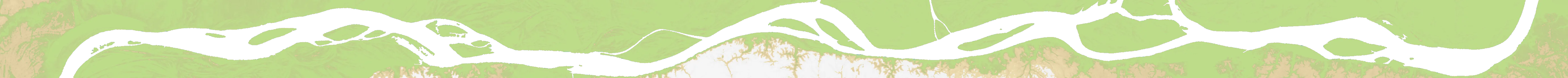 Amazon River